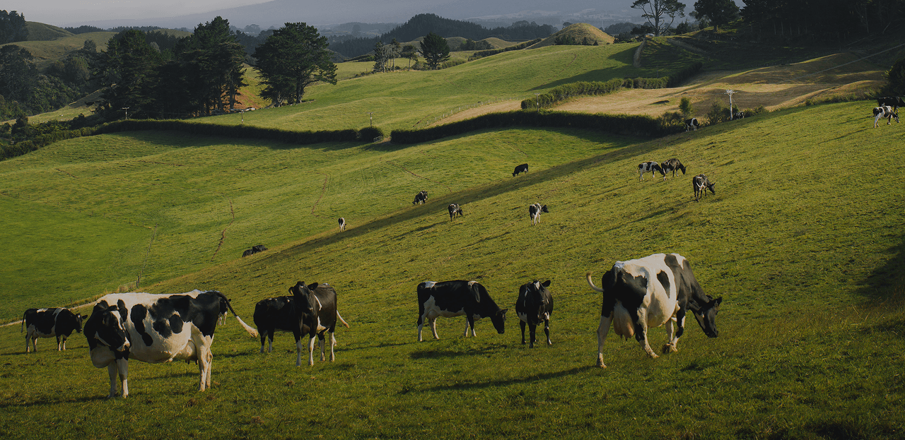 Raaj Dairy Foods Farm